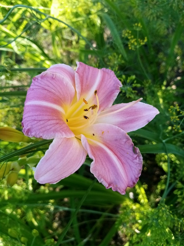 Юлия Гусева | Леушино