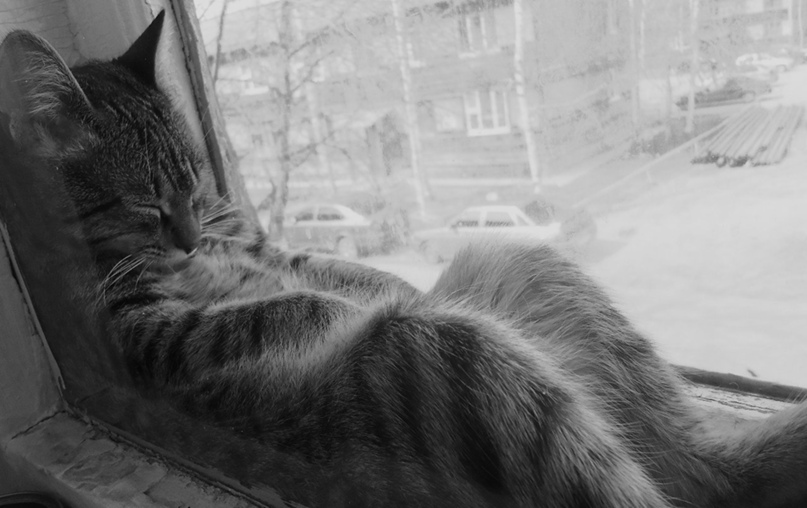 Юлия Юрьева | Красноярск