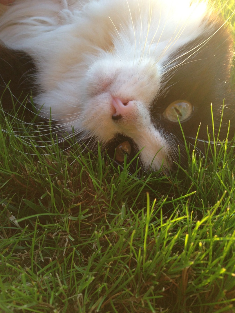 Вероника Абрамова | Москва