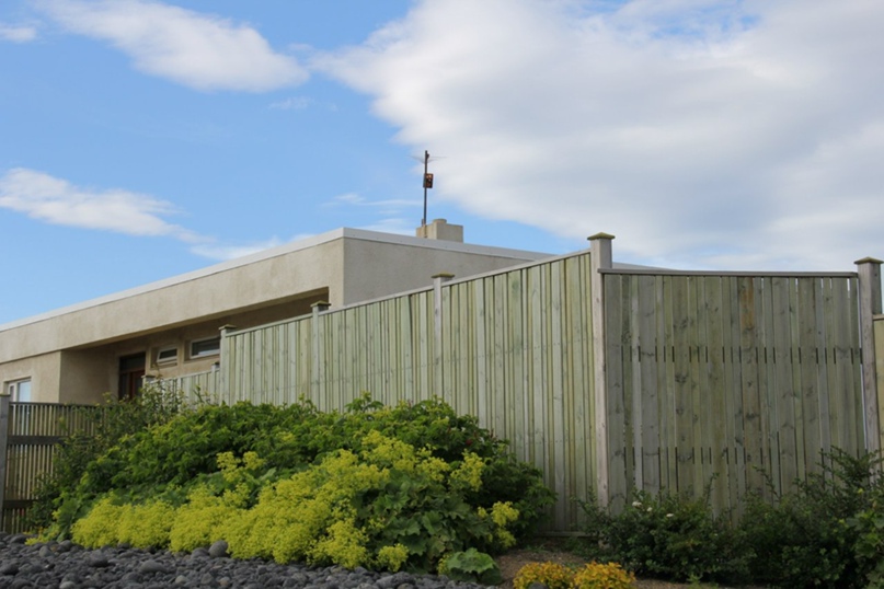 Ирина Зверева |