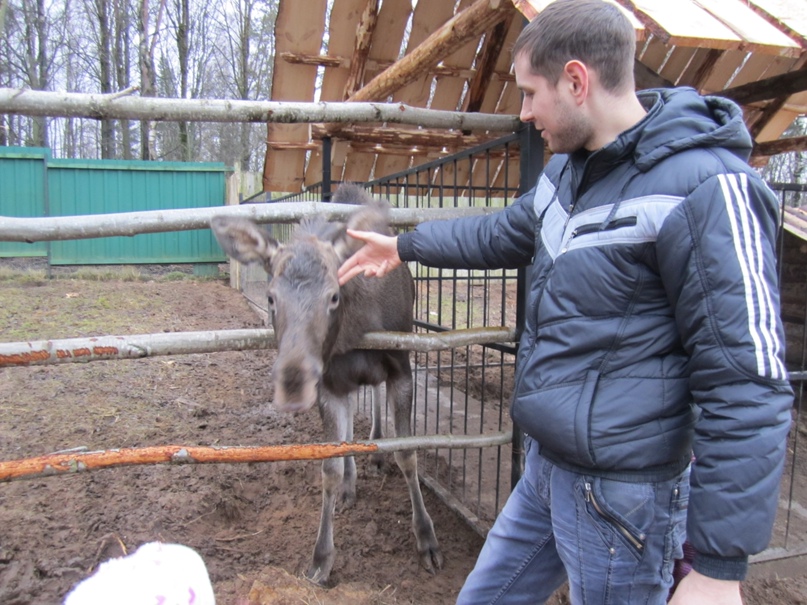 Артем Мотовилов | Псков