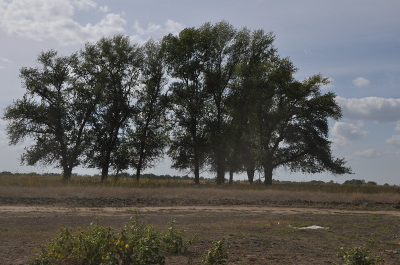 Александр Дугинов | Пересвет