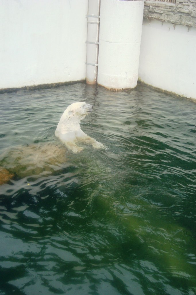 Любовь Крылова Lub4ik......) | Белгород