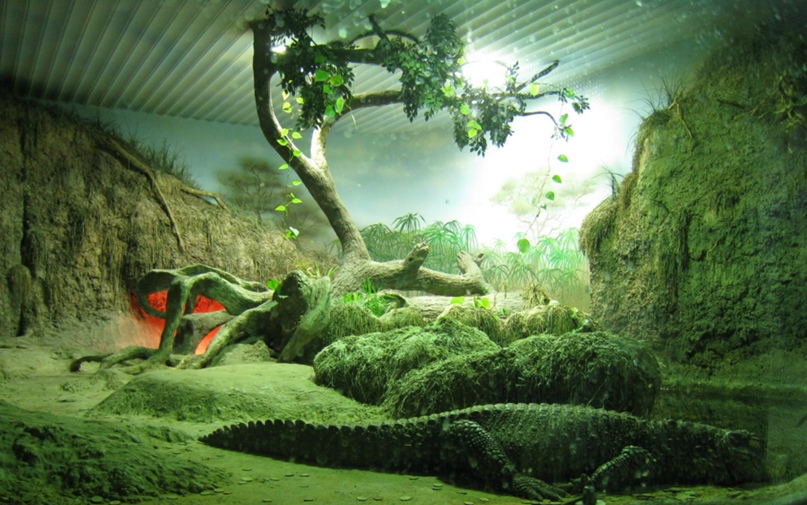 Анна Шейко InfoVamp | Москва