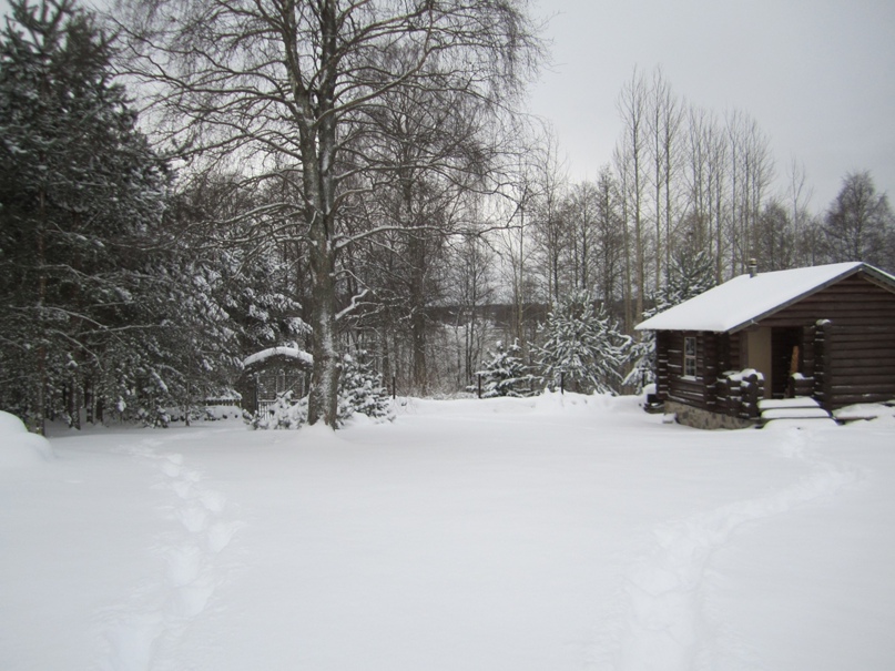 Елена Шальнева | Санкт-Петербург
