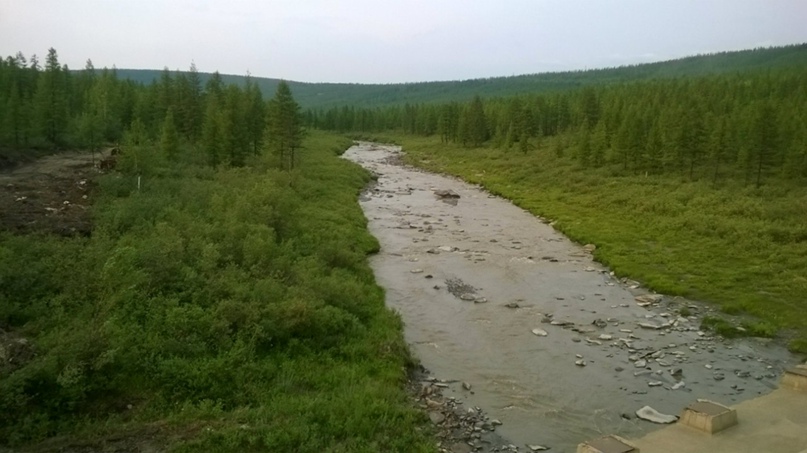 Михаил Каширцев | Омск