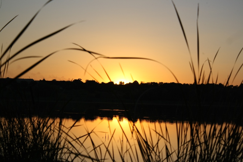 Руслан Сидоренко SKULL | Гвардейское