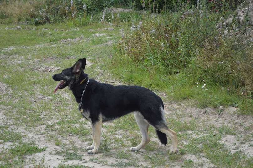 Светлана Дорожкина | Москва