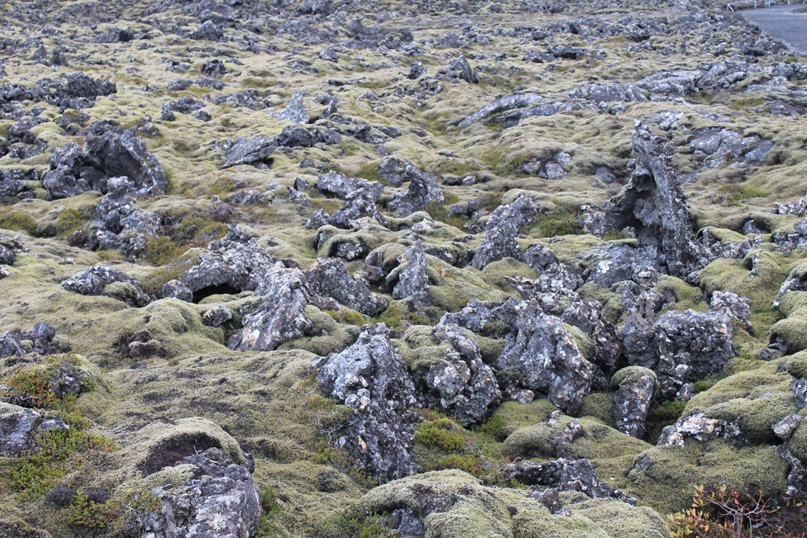 Елена Фурсова | Reykjavík