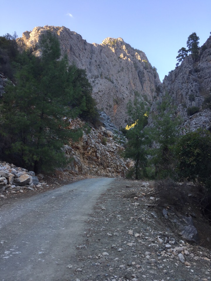 Наталья Донцова | Москва