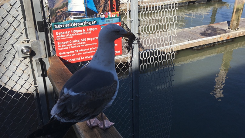 Алексей Сидельников | Санкт-Петербург