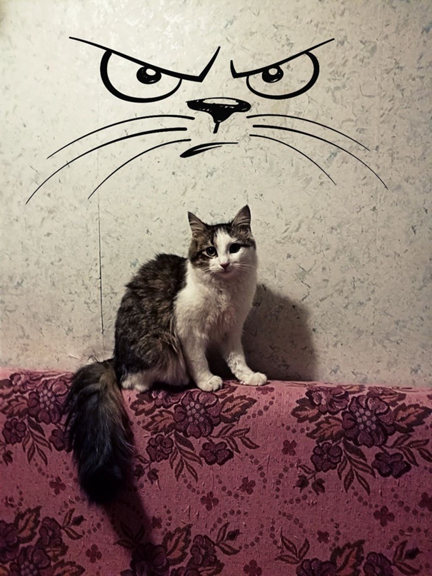 Алексей Антонов | Санкт-Петербург