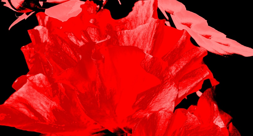 Ольга Силакова | Санкт-Петербург