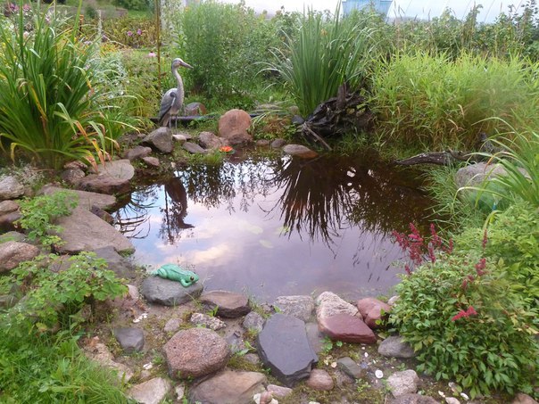 Елена Вайнер | Тверь