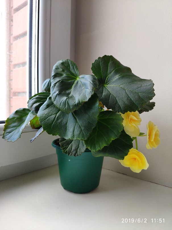 Раиса Рубцова | Белорецк