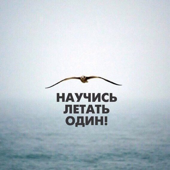 Сергей Шаталов | Тула