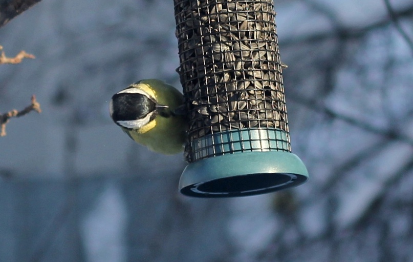 Наталья Герасимова Olmek | Самара