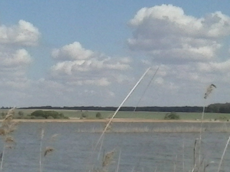 Сергей Видяев | Наро-Фоминск