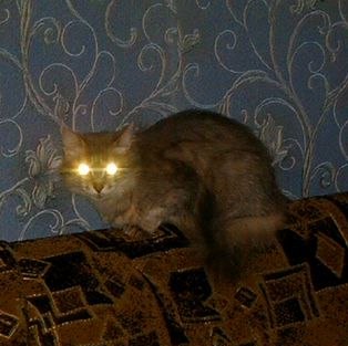 Дмитрий Паршин | Алчевск