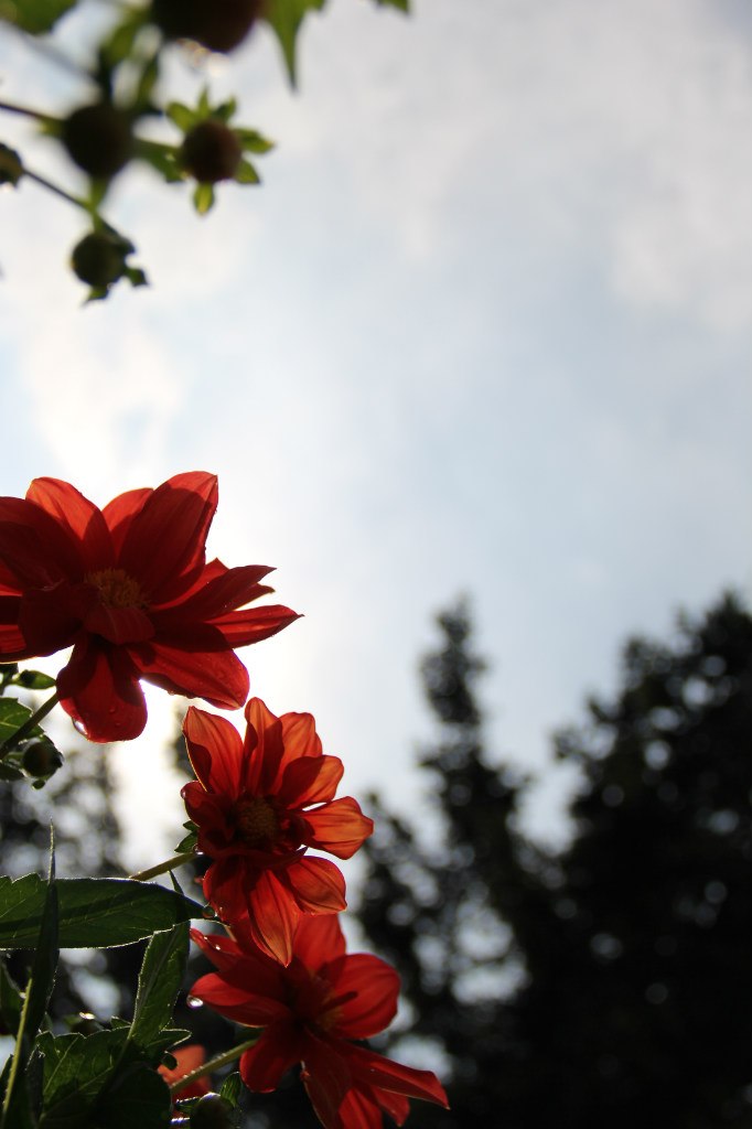 Ольга Костюкова | Краснодар