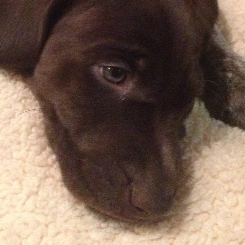 Наталья Свистунова | Москва