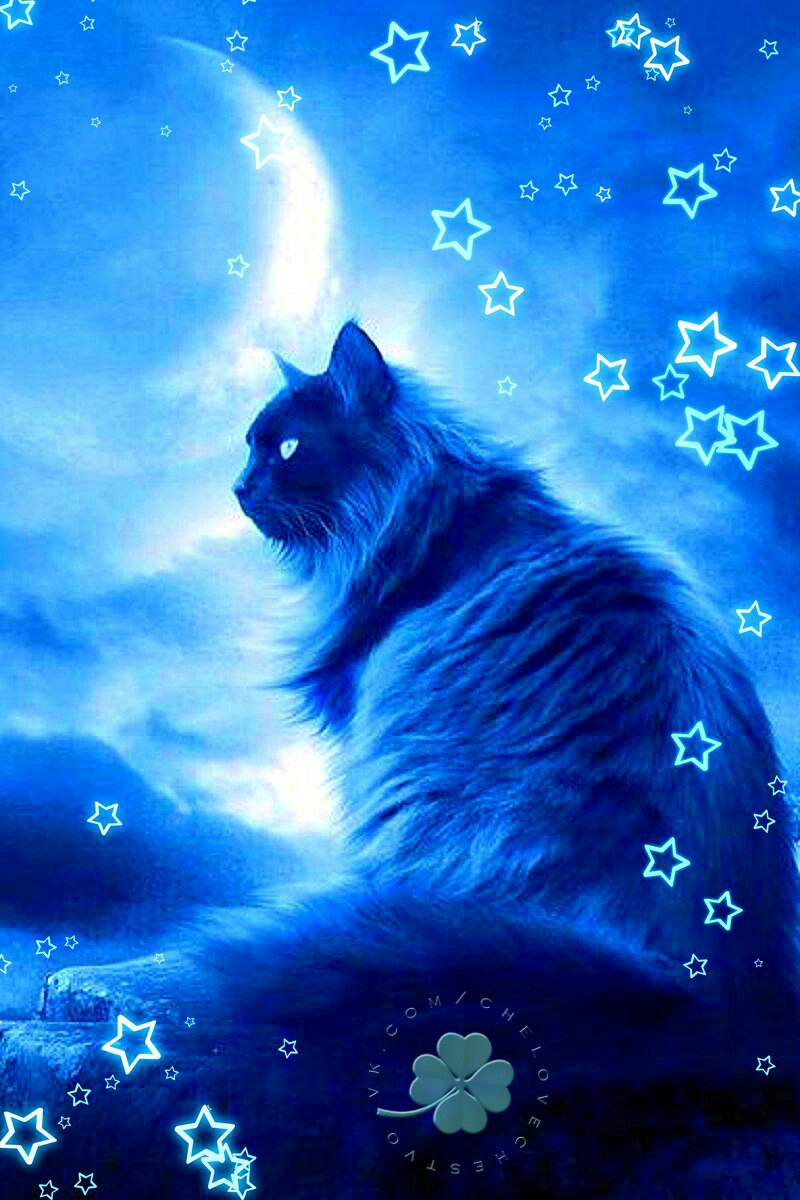 Наталья Землянская |