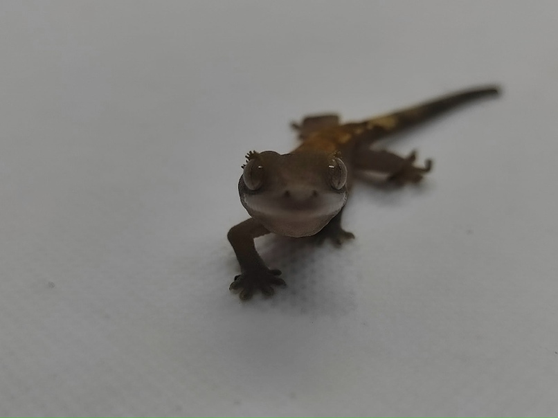 Наталья Мартыненко | Ростов-на-Дону