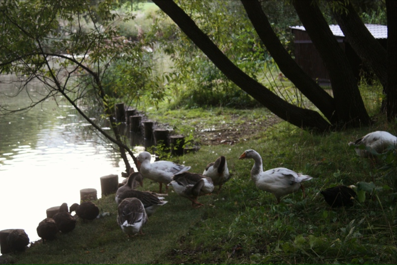 Аня Егорова ͡๏̯͡๏ | Москва