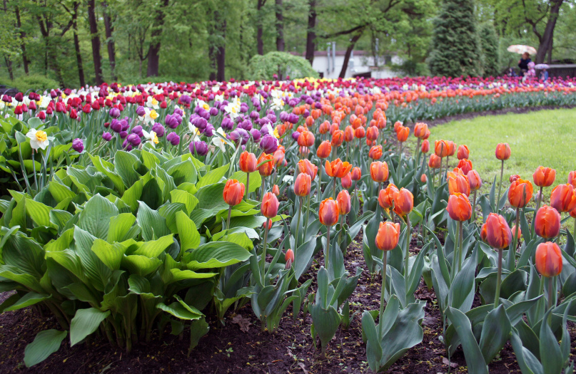 Татьяна Федорова | Санкт-Петербург