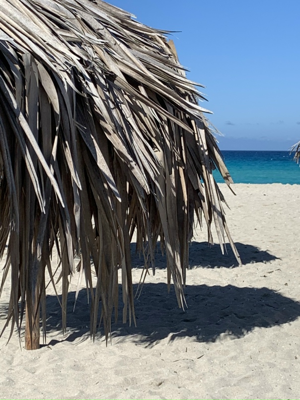 Михаил Тараненко | Полярные Зори