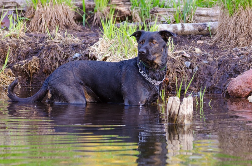 Андрей Кудрявцев | Гатчина
