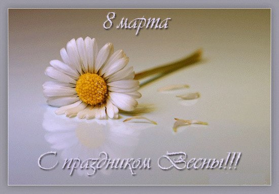 Елена Кузнецова | Тула