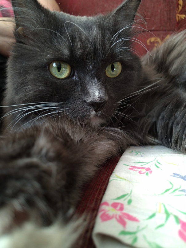 Денис Беляев | Москва