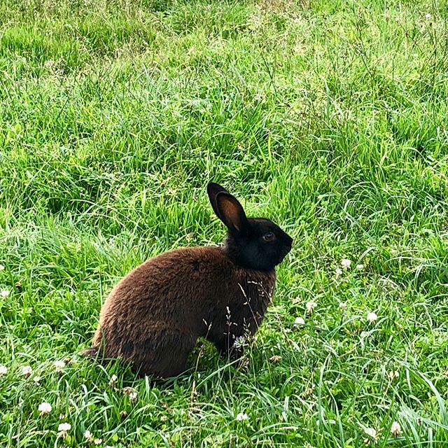 Андрей Алексеенко ★Ⓐ♍★ | Великий Новгород