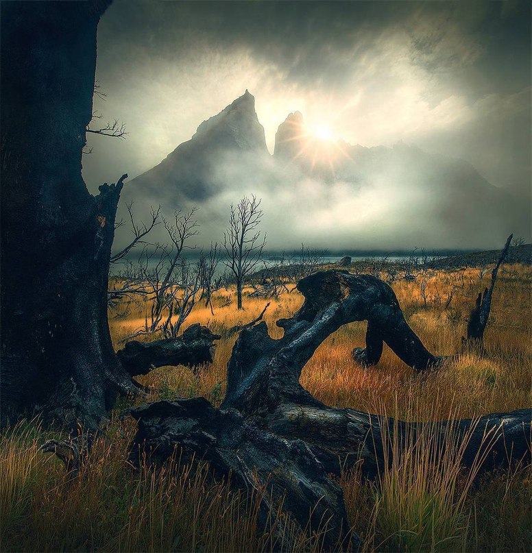 Константин Симонов | Москва