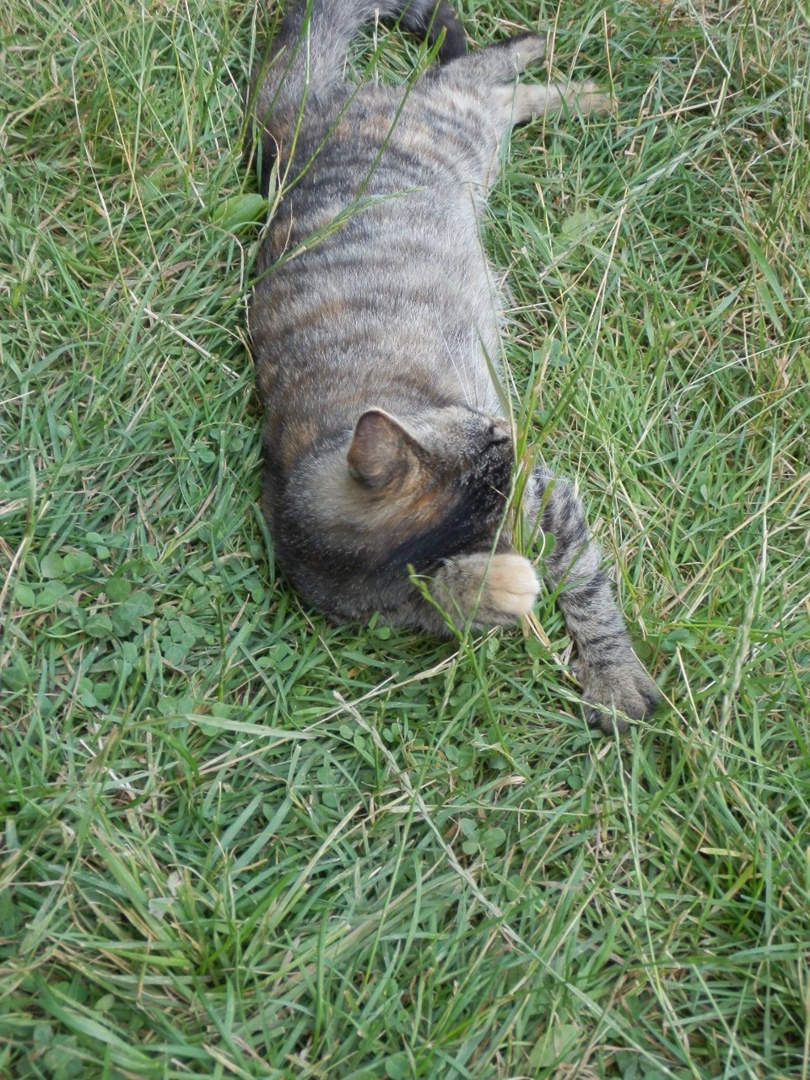 Игорь Загородний | Киев