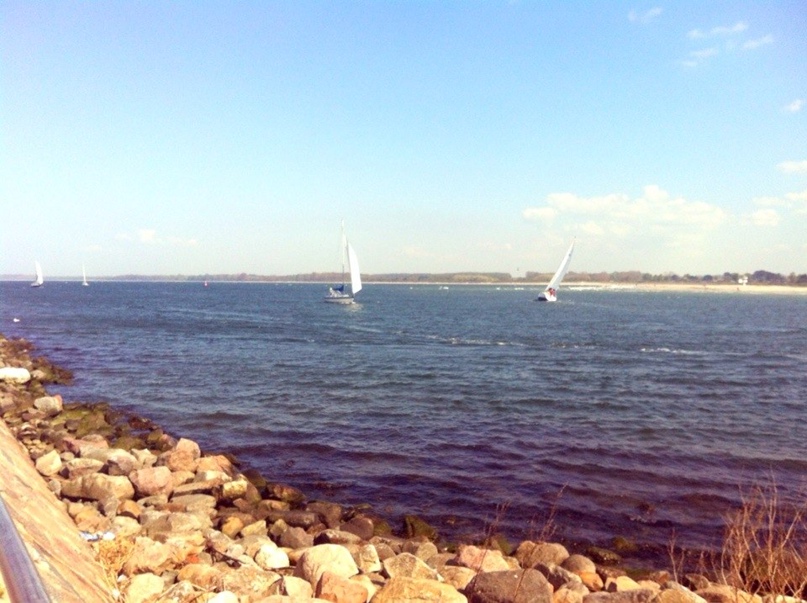 Евгения Бромберг |