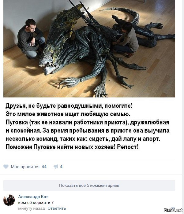 Виталий Сергеев | Кемерово