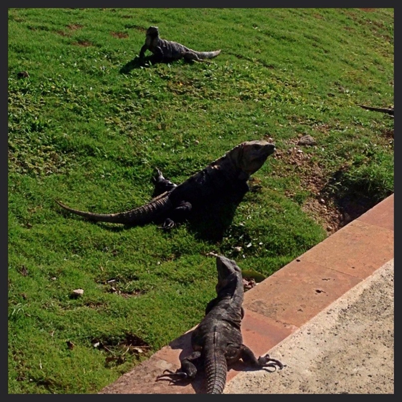 Наталья Кравцова | Москва