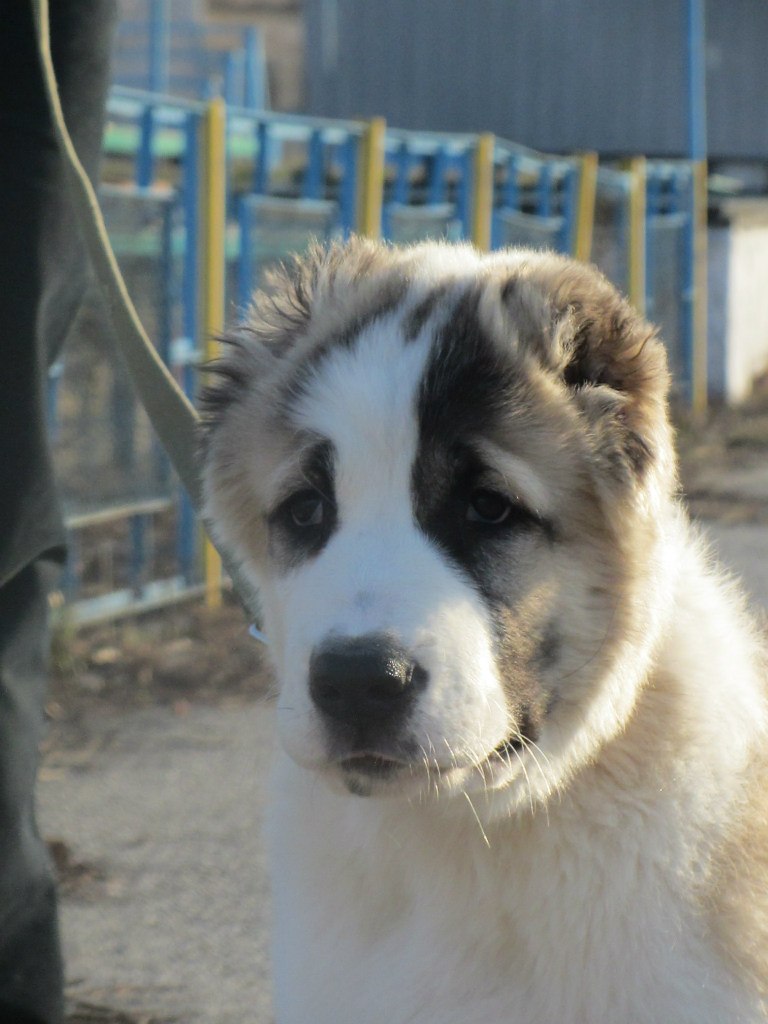 Роман Кузьмичев | Ростов-на-Дону