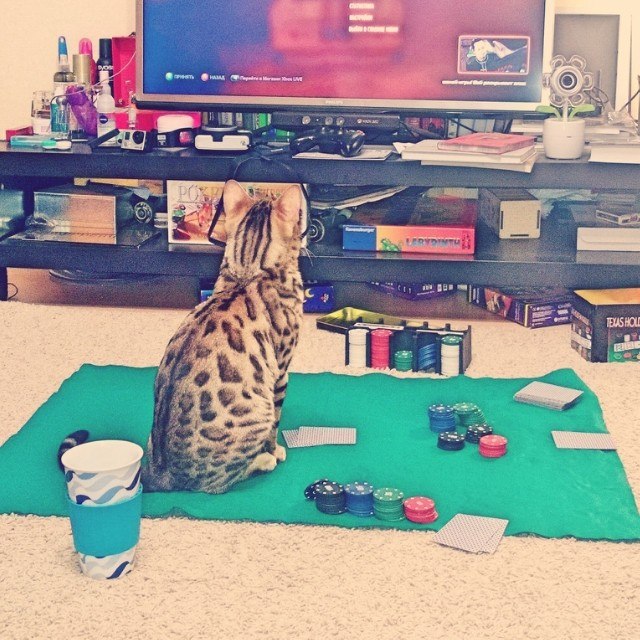 Alexander Loginov F! | Москва