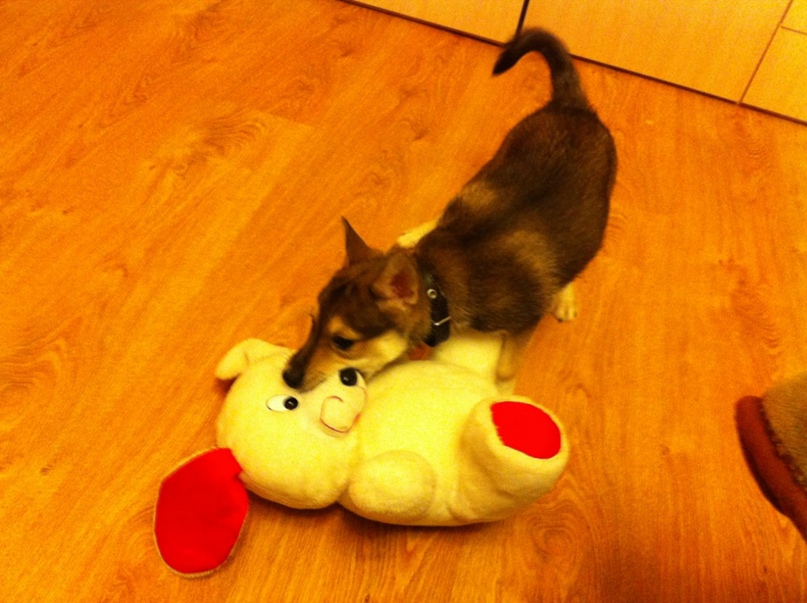 Наталья Баркова | Санкт-Петербург