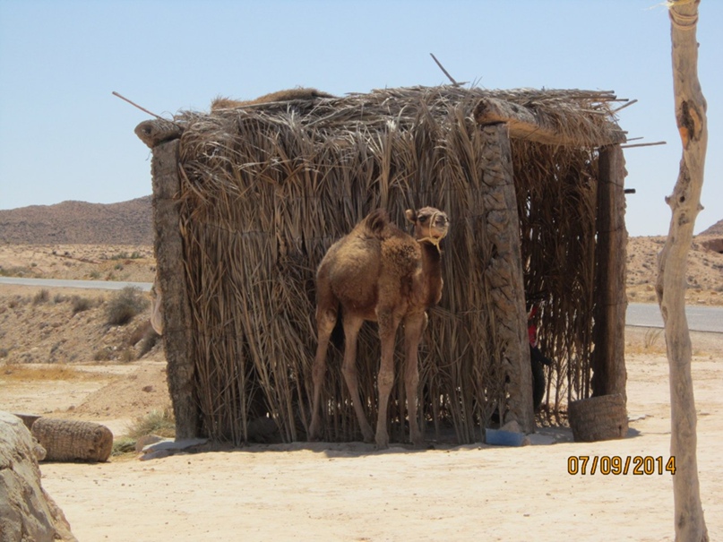 Наталья Романюк | Северодвинск