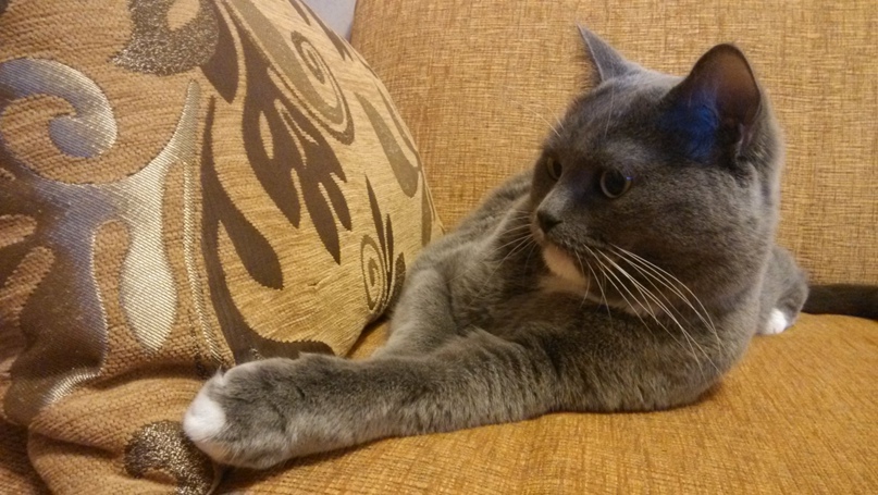 Алексей Мочалов NOY | Ноябрьск