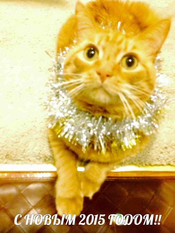 Svetlana Haritonova | Алматы