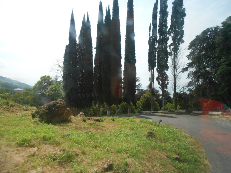 Илья Рогов | Сыктывкар