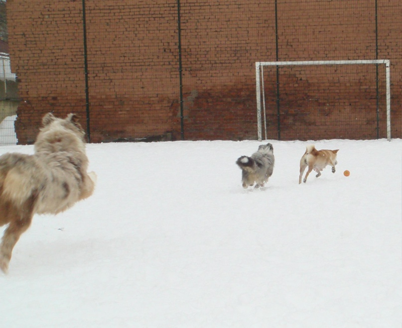 Елена Павлова Kitana | Санкт-Петербург