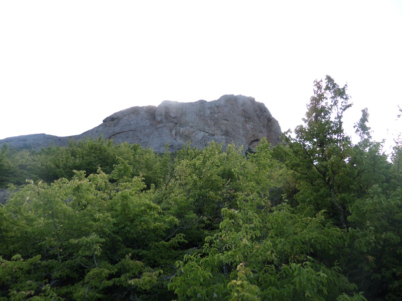 Иван Шальнев | Раменское