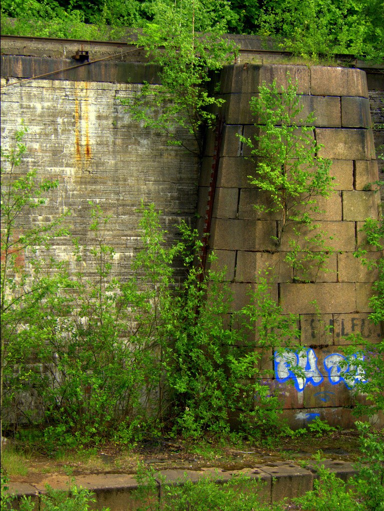 Елена Эльстер | Санкт-Петербург