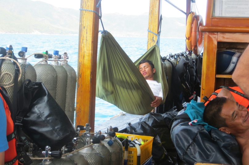Елена Солнцева | Санкт-Петербург
